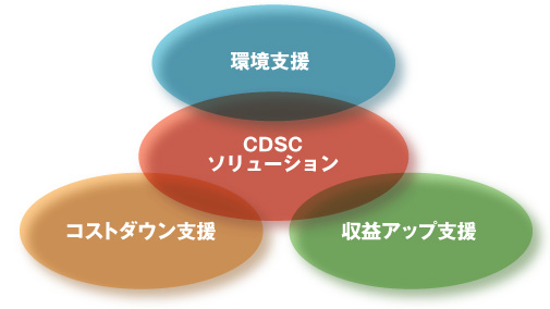 CDS �R�X�g�_�E��